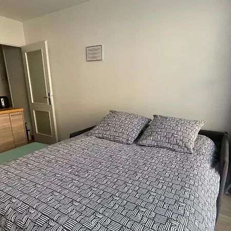 Appartement Plein Centre Avec Garage, Piscine Et Gardien Grenoble